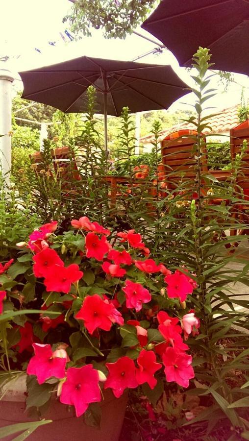 Motel Stone Gardens Doli Exterior foto